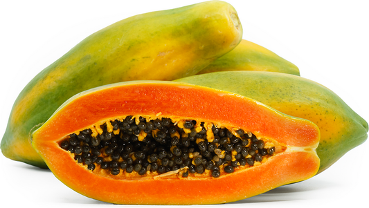 Papaya H1 Fruit Plant