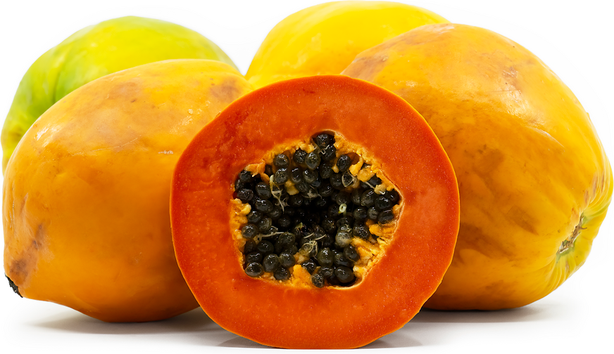Papaya H5 Fruit Plant