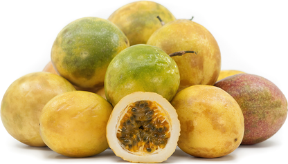 Dark Yellow Passion Fruit Plant - Passiflora Edulis