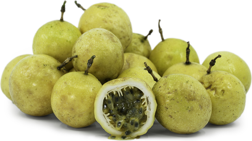 Passion Yellow Fruit Plant