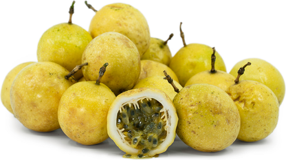 Passion Yellow Fruit Plant - Passiflora Edulis