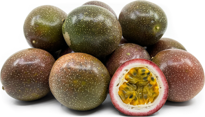 Dark Passion Fruit Plant - Passiflora Edulis