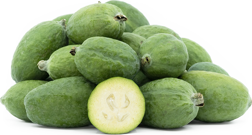 Pineapple Guava Fruit Plant