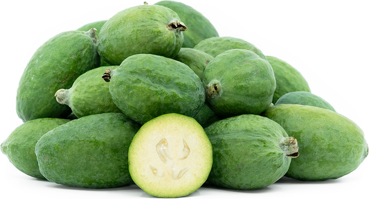 Pineapple Guava Fruit Plant