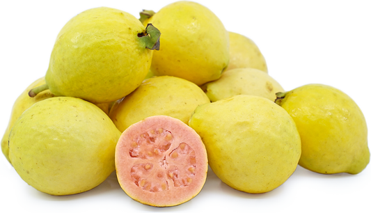 Pink Guava Fruit Plant