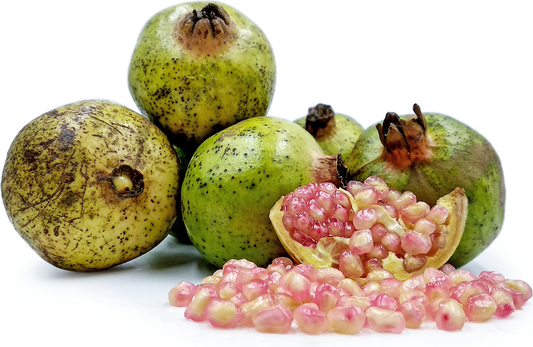 Pomegranate P6 Fruit Plant
