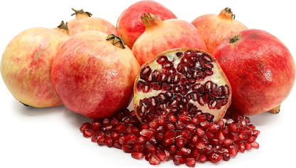 Pomegranate P4 Fruit Plant - Punica granatum