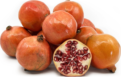 Pomegranate P1 Fruit Plant - Punica granatum