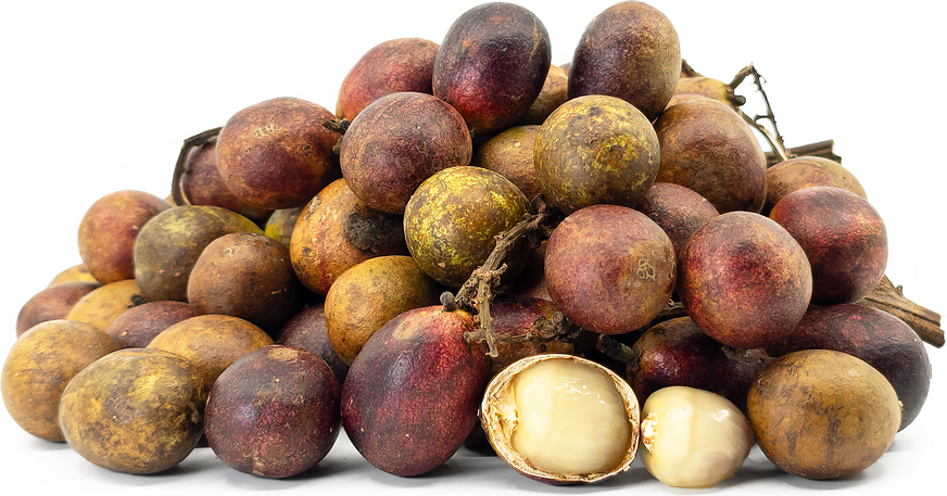 Purple Matoa