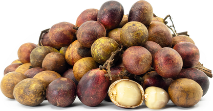 Purple Matoa Fruit Plants - Pometia Pinnata