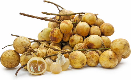 Rambai White Fruit Plant - Baccaurea Motleyana