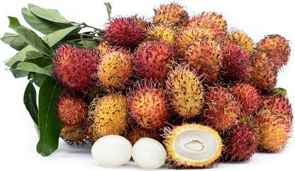 Rambutan Binjai Fruit Plant - Nephelium lappaceum