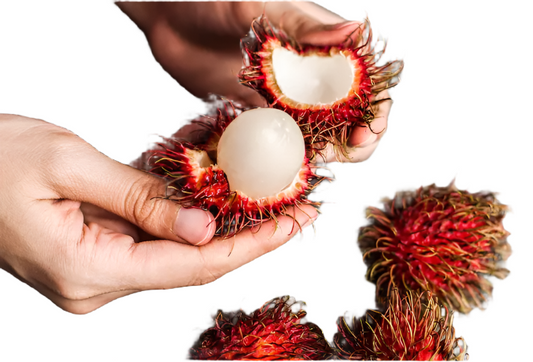 Rambutan Maharlika Fruit Plant
