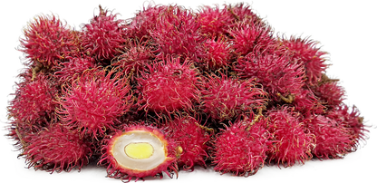 Rambutan Malwana Fruit Plants - Nephelium lappaceum