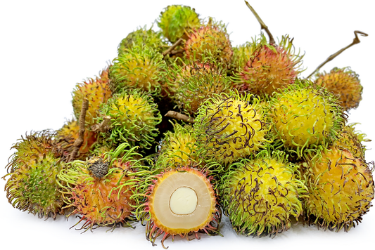 Rambutan MuarGading Fruit Plant