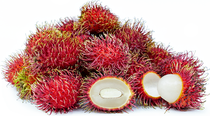 Rambutan Rongrien Fruit Plants - Nephelium lappaceum