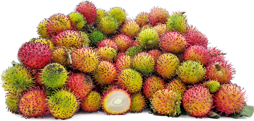 Rambutan School Boy Fruit Plant