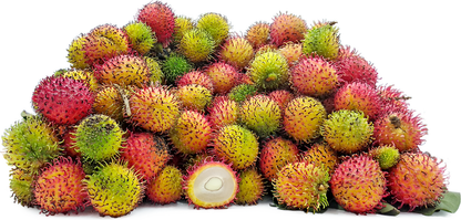 Rambutan School Boy Fruit Plants - Nephelium lappaceum