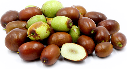 Red Jujube Fruit Plant - Ziziphus Mauritiana