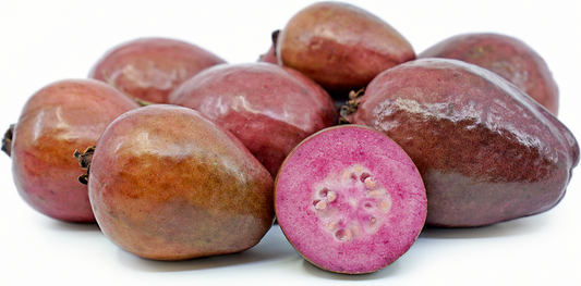 Malaysian Purple Guava Fruit Plant