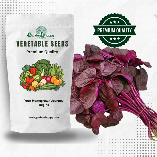 Red Amaranthus Seeds - Vegetable Seeds