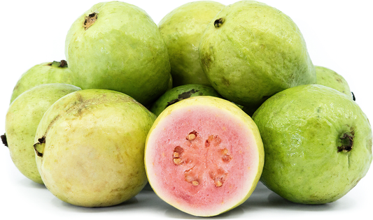 Red Guava Fruit Plant