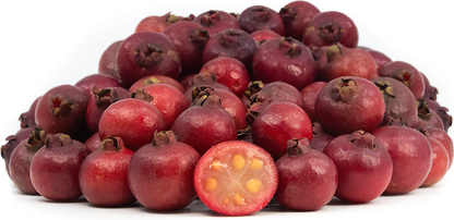 Red Strawberry Guava Fruit Plant - Psidium Cattleianum