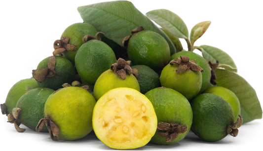 Sabanera Guavas Fruit Plant