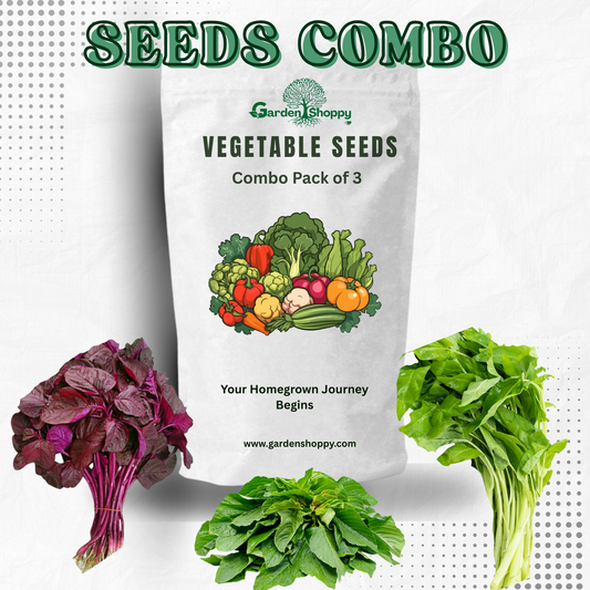 Vegetable Seeds Combo Pack of 3 - Vegetable Garden Combo 053