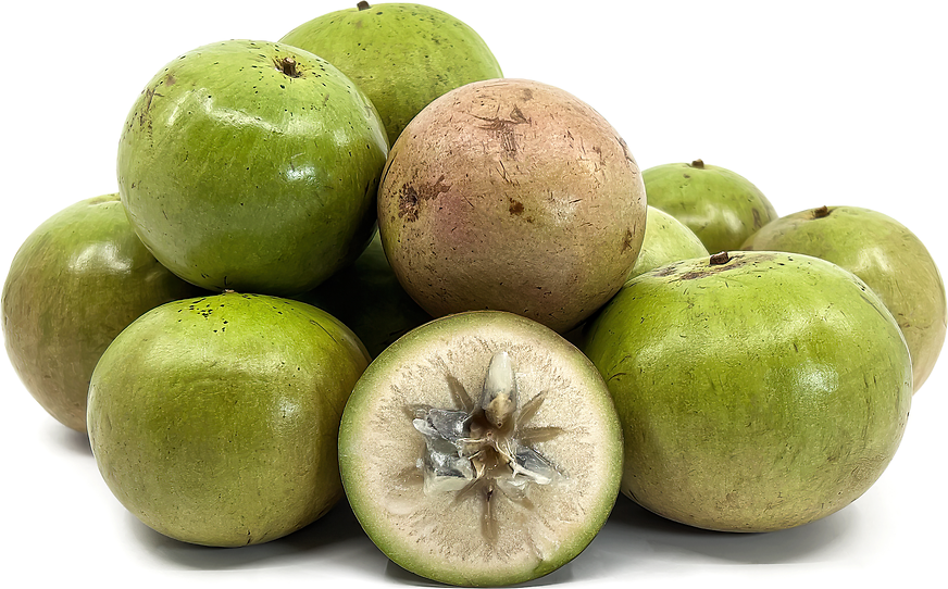 Jamaican Star Apple Green