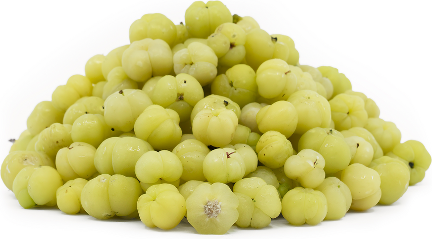 Star Gooseberry