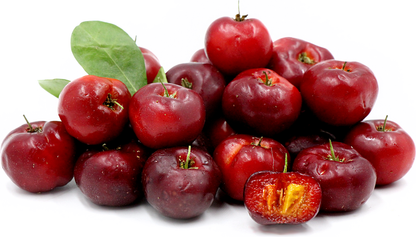 Sweet Acerola Cherry Fruit Plant  - Malpighia Emarginata SP
