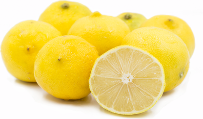 Sweet Lemon Fruit Plant - Citrus limon