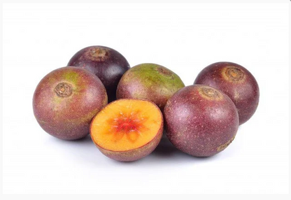 Sweet Lovi SL1 Fruit Plants - Flacourtia Inermis SP