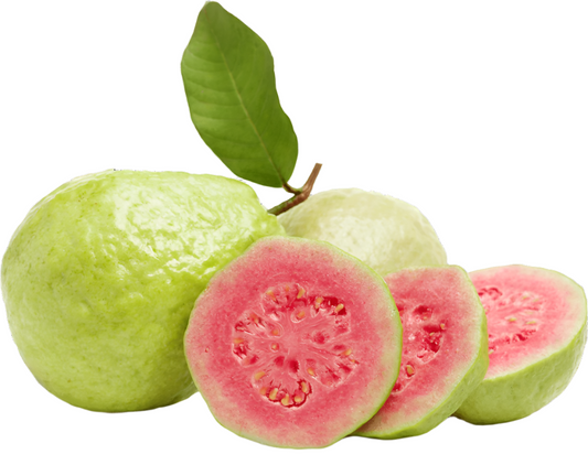 Taiwan Pink Guava Fruit Plant