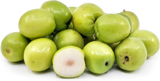 Thai Jujube Fruit Plant - Ziziphus Mauritiana