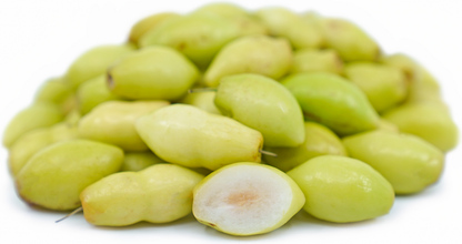 Thai Long Jujube Fruit Plant - Ziziphus Mauritiana