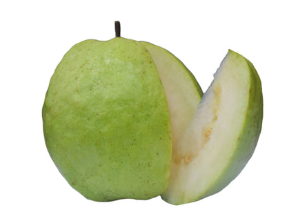 VNR Guava Fruit Plant - Psidium Guajava