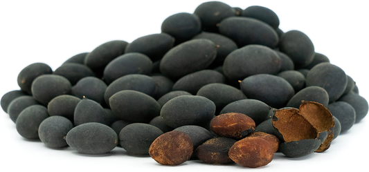 Velvet Tamarind Fruit Plant - Dialium Cochinchinense