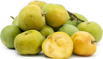 White Sapote Fruit Plant - Casimiroa Edulis