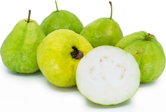 White Creamy Guava Fruit Plant