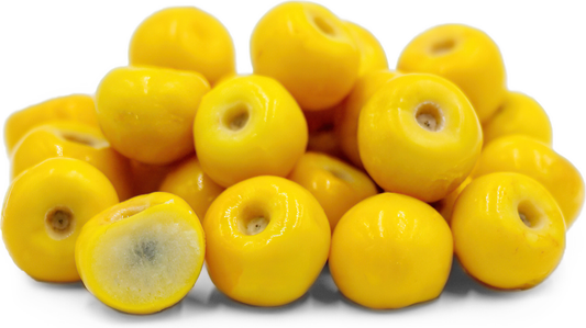 Yellow Nance Fruit Plant