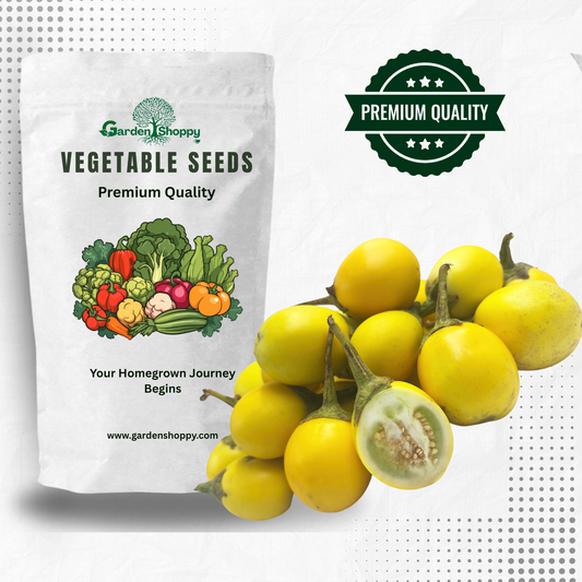 Yellow Brinjal Seeds - Vegetables Seeds