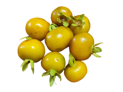 Yellow Grumichama Fruit Plant - Eugenia Brasiliensis