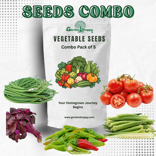 Vegetable Seeds Combo Pack of 5 - Vegetable Garden Combo 051