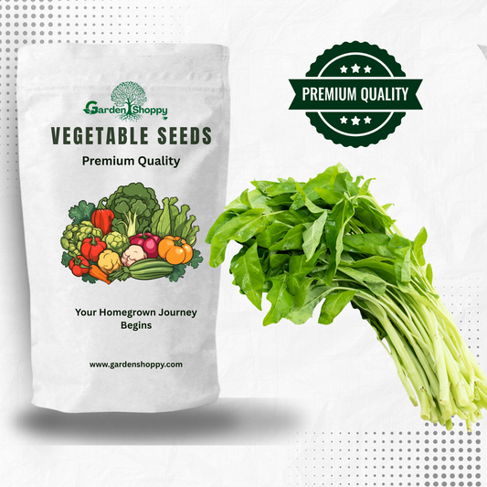 Milky White Amaranthus Seeds - Vegetable Seeds