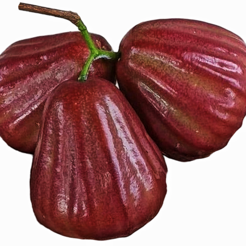 Dalhari Water Apple