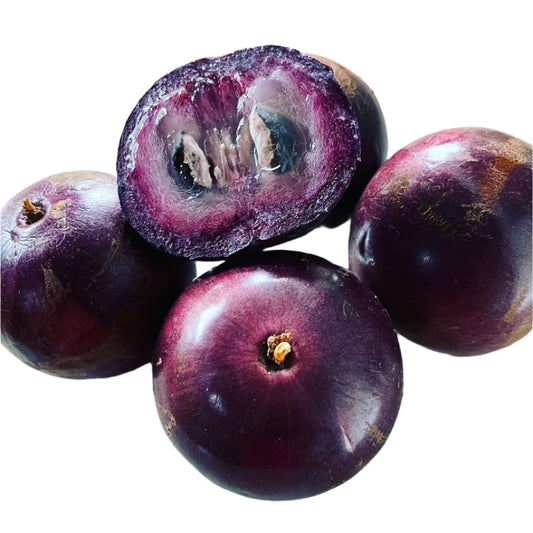 Jamaican Star Apple Purple Giant
