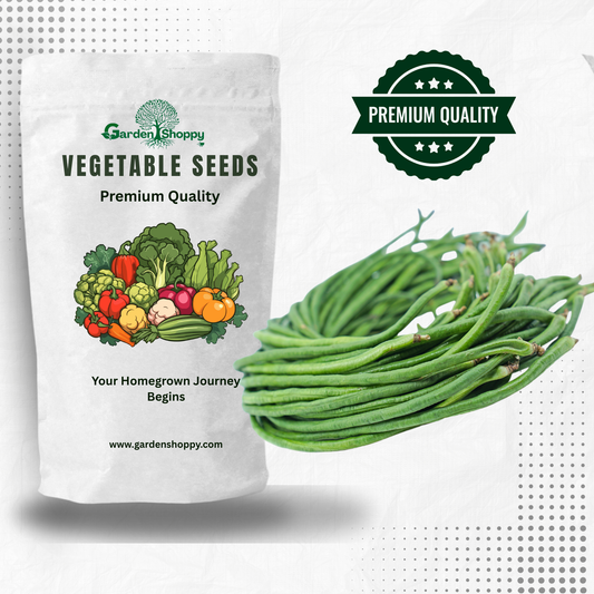 Yard Long Beans Valley Green Seeds - Vegetable Seeds
